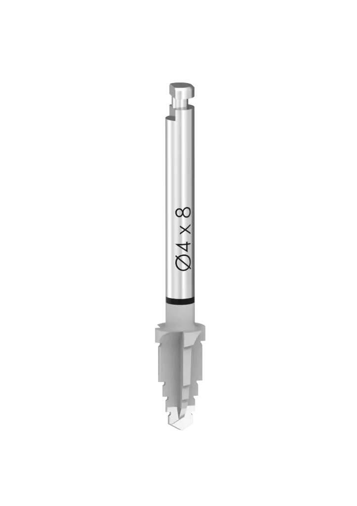 IT - FORETS CONIQUES