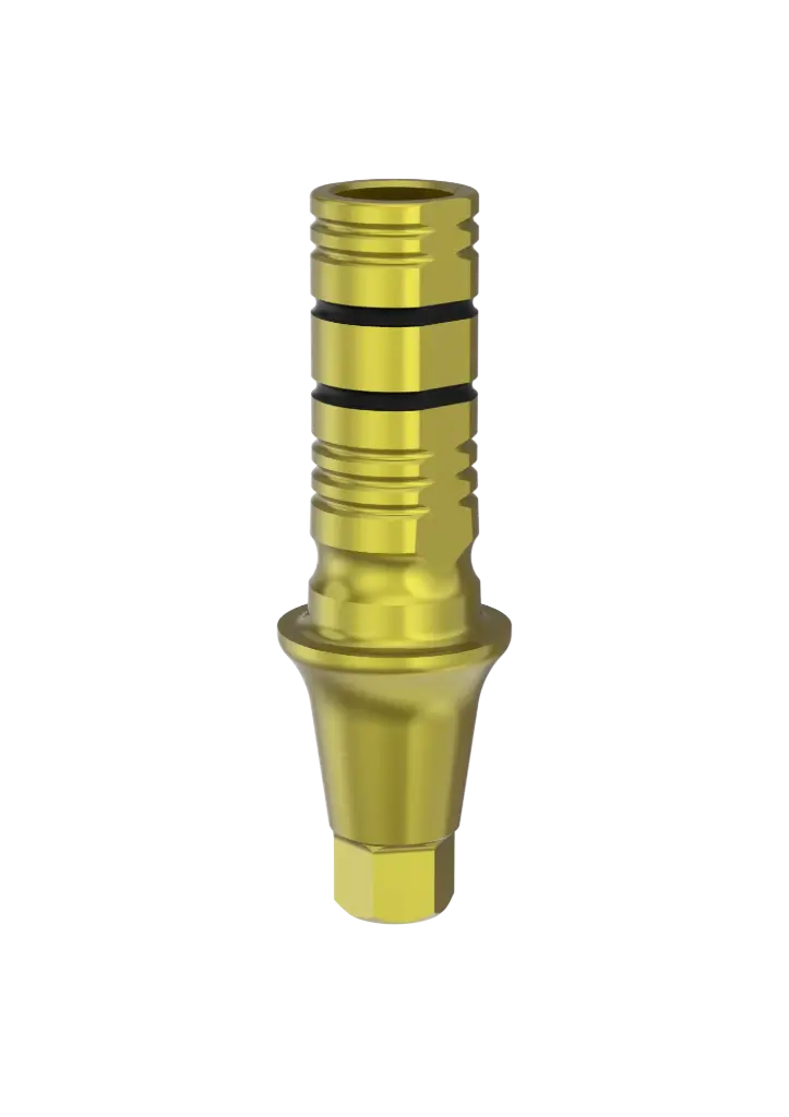 SP1 - SI-BASE avec vis