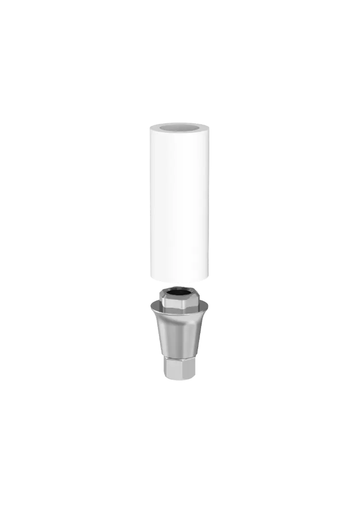 SP1 - PASSIVE Abutment avec vis