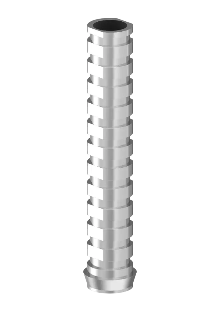 EXTERNAL HEX - PILIER PROVISOIRE TITANE