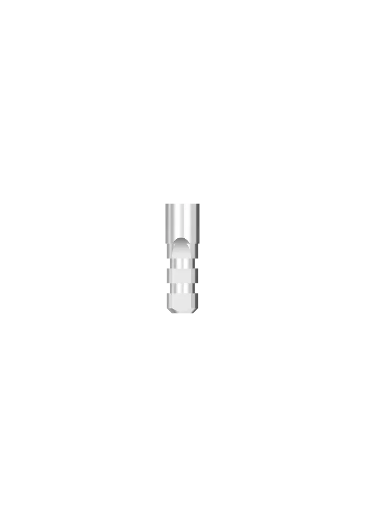 INTERNAL HEX | PROVATA - ANALOGUE