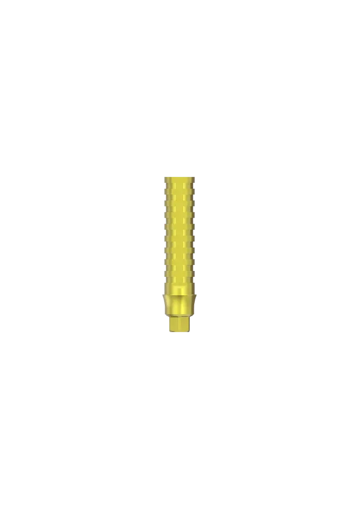 INTERNAL HEX | PROVATA - PILIER PROVISOIRE TITANE