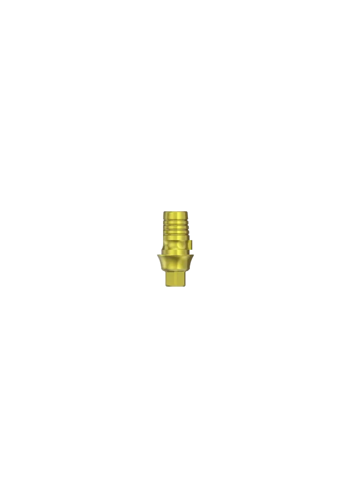 INTERNAL HEX | PROVATA - TIBASE