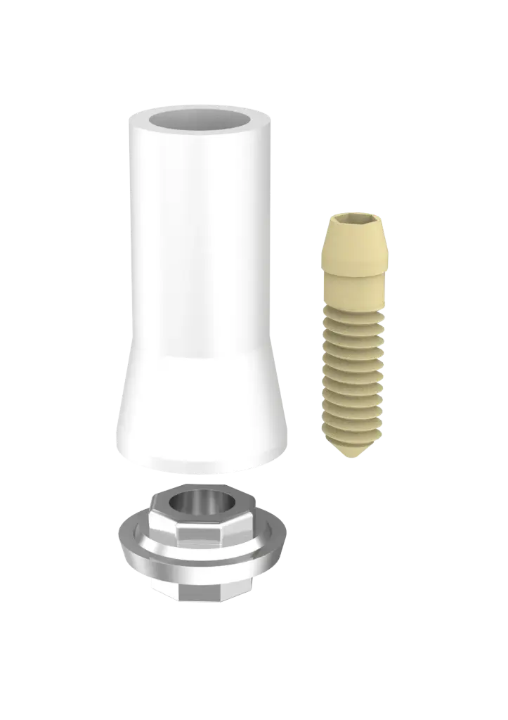 IT - PASSIVE Abutment