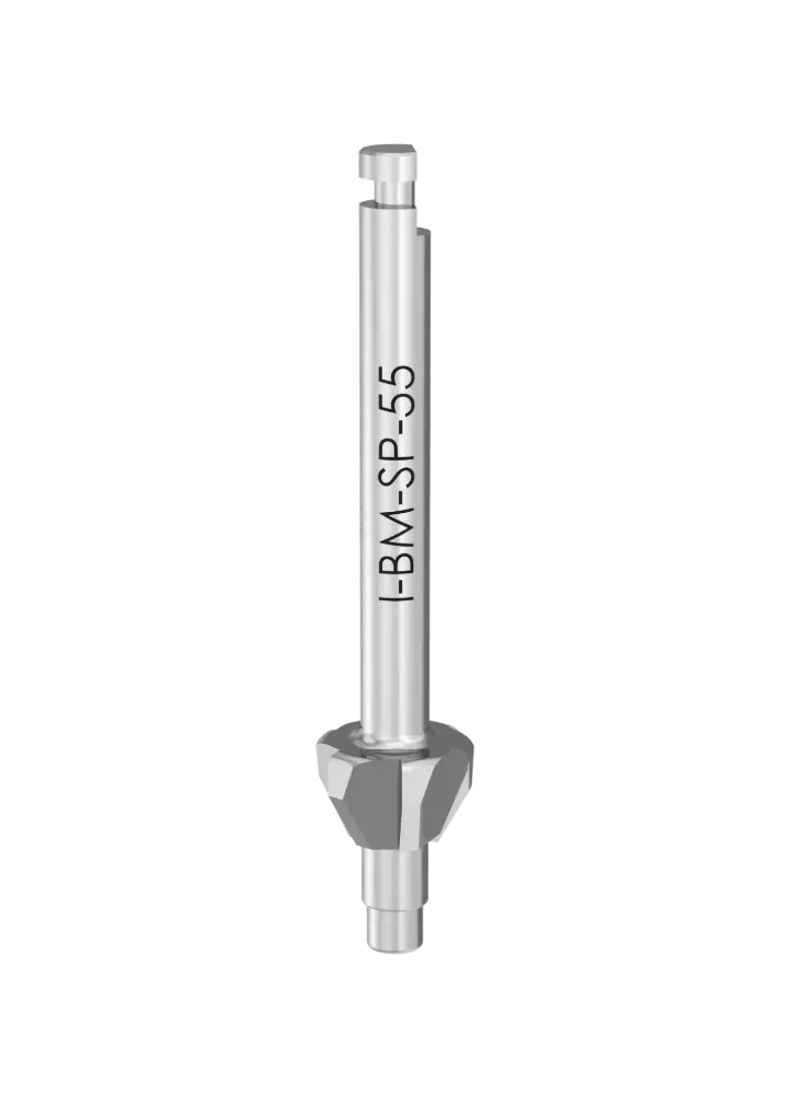 SP1 - Bone Mills