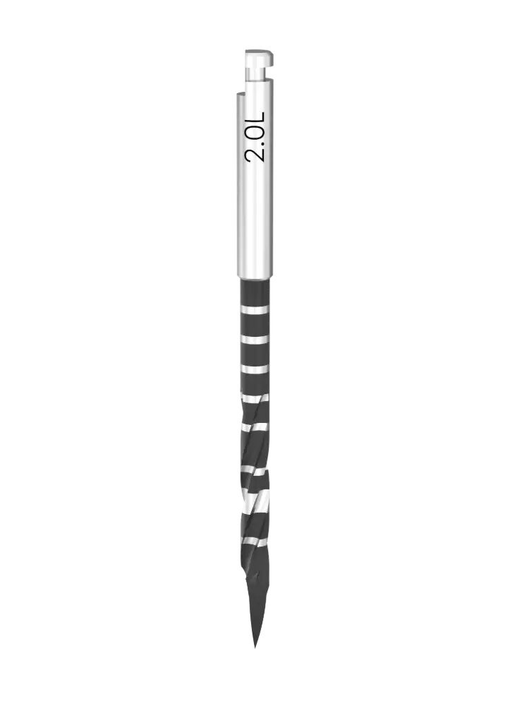 D-SP20L - Forets SP1 PT (Long)