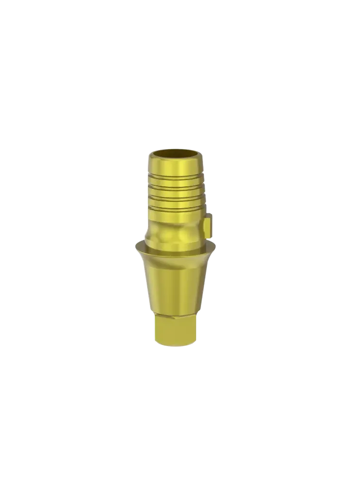 SP1 - TIBASE avec vis