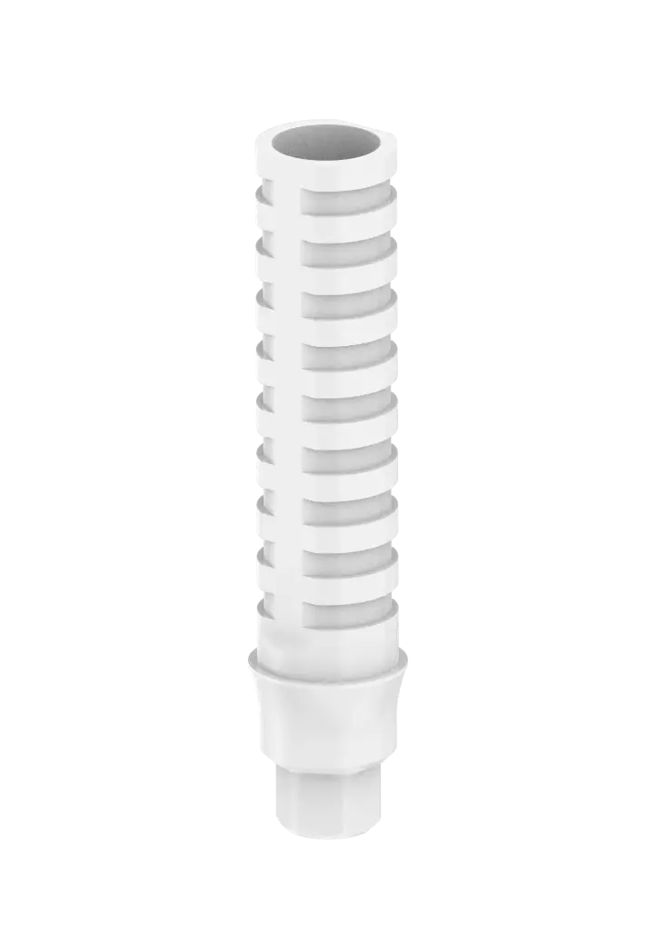 INTERNAL HEX | PROVATA - PILIER PROVISOIRE PEEK