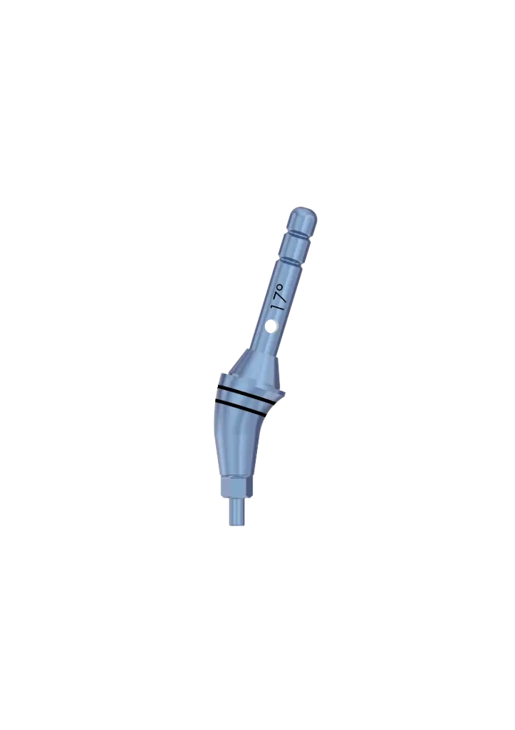 SP1 - ANGLED ABUTEMENT TRY-INS