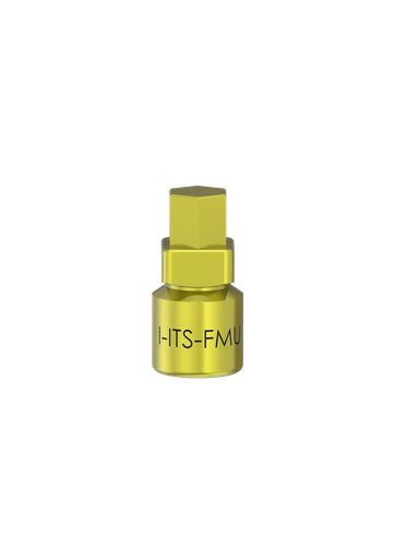 [I-ITS-FMU] I-ITS-FMU - Converter and Extention Instr IT
