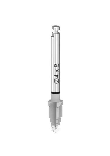 IT - FORETS CONIQUES