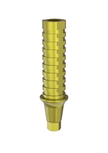 SP1 - CYLINDRE PROVISOIRE avec vis