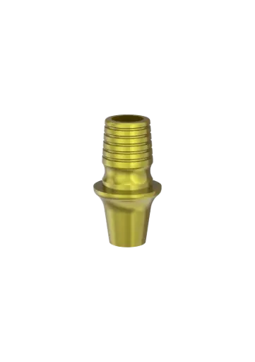 SP1 - TIBASE avec vis