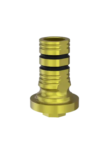 IT - SI-BASE