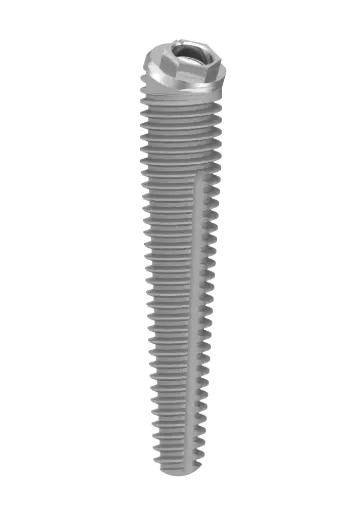 EXTERNAL HEX - IMPLANT NAZALUS