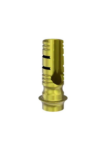 EXTERNAL HEX - ASC Pilier et vis à rattrapage d'Axe 20° (Eng)