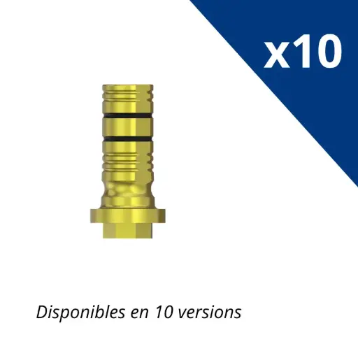 KIT SIBASE IT x 10